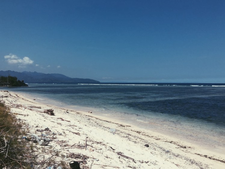 Processed with VSCO with p5 preset